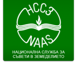 НССЗ