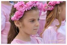 Празник на розата в гр. Стрелча - 2013г.